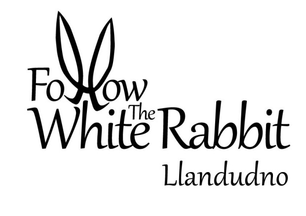 follow the rabbit